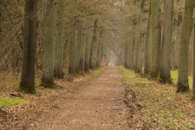 Stambruges - Les Ecacheries - Stambruges - Photo 19