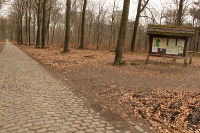 Stambruges - Les Ecacheries - Stambruges - Photo 20