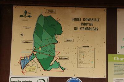 Stambruges - Les Ecacheries - Stambruges - Photo 21