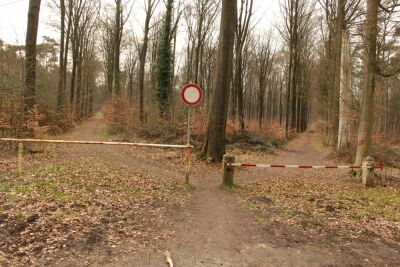 Stambruges - Les Ecacheries - Stambruges - Photo 23
