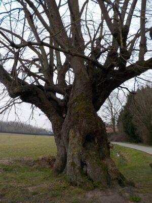 F59 Aubers - Aubers - Photo 3