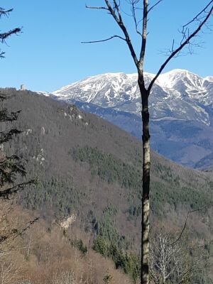 Tour del mir 13/03/2021