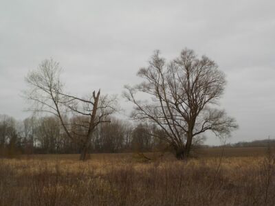 Don - Don - Photo 1