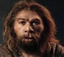 MUR - DOMME en périgord