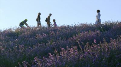 PAROLDO - SALE SAN GIOVANNI AR