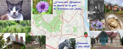 Le bois des Bruyères