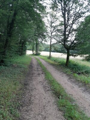 Photo prise liée au parcours
