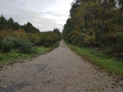 15_Reco_Saint-Médard Les Biges - Saint-Médard-en-Jalles - Photo 5