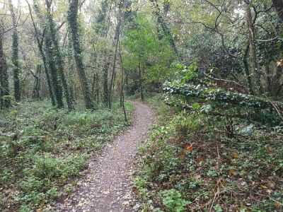 15_Reco_Saint-Médard Les Biges - Saint-Médard-en-Jalles - Photo 6