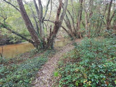 15_Reco_Saint-Médard Les Biges - Saint-Médard-en-Jalles - Photo 7