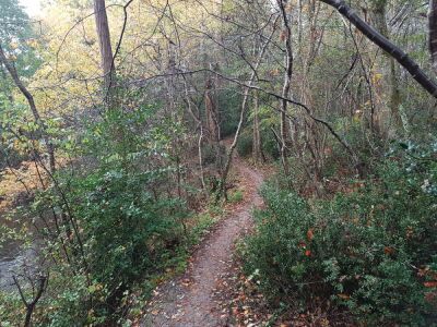 15_Reco_Saint-Médard Les Biges - Saint-Médard-en-Jalles - Photo 9