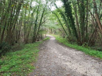 15_Reco_Saint-Médard Les Biges - Saint-Médard-en-Jalles - Photo 10
