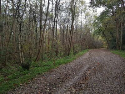 15_Reco_Saint-Médard Les Biges - Saint-Médard-en-Jalles - Photo 11