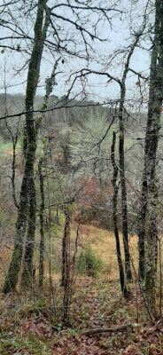 Photo prise liée au parcours