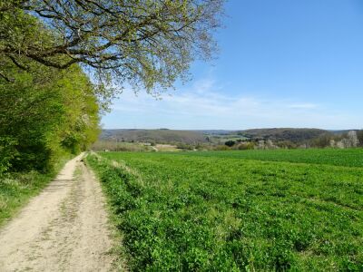 Photo prise liée au parcours