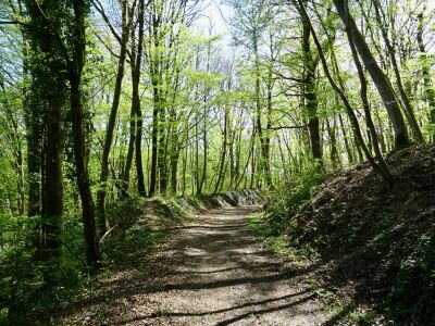 Photo prise liée au parcours