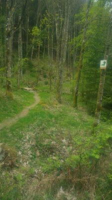 Photo prise liée au parcours