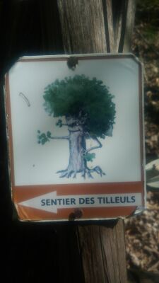 Photo prise liée au parcours