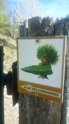 Photo prise liée au parcours