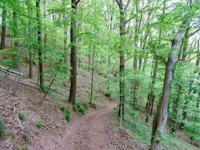 Photo prise liée au parcours