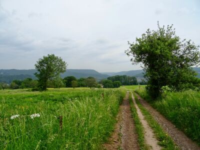 Photo prise liée au parcours