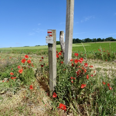 Photo prise liée au parcours