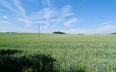 Photo prise liée au parcours
