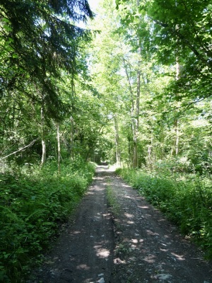 Photo prise liée au parcours
