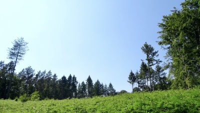 Photo prise liée au parcours