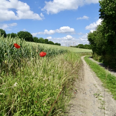 Photo prise liée au parcours