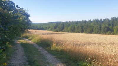 Photo prise liée au parcours