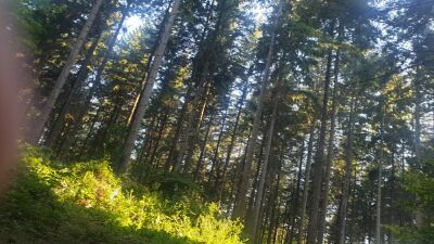 Photo prise liée au parcours