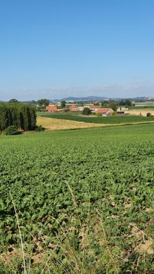 Helleketelbos Houtkerque 10/07/2022
