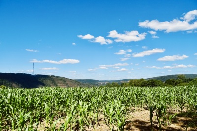 Photo prise liée au parcours