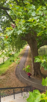 Photo prise liée au parcours