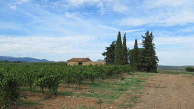 Photo prise liée au parcours