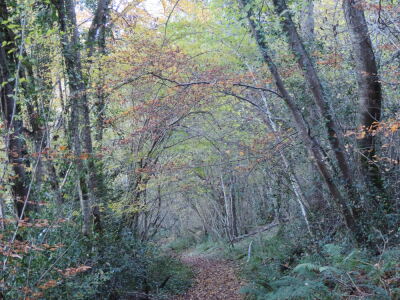 Photo prise liée au parcours