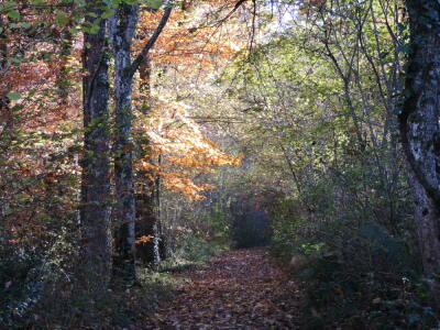 Photo prise liée au parcours
