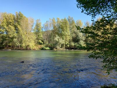 Pont du Château- Mirefleurs  berges Allier 10/2022