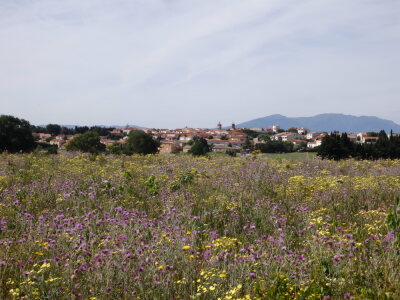 Photo prise liée au parcours