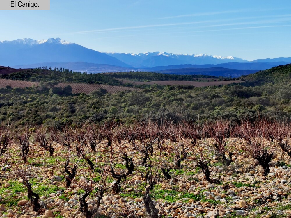 Paziols 11Paziols (Corbières). 6 cols le 22/12/2022. OpenRunner