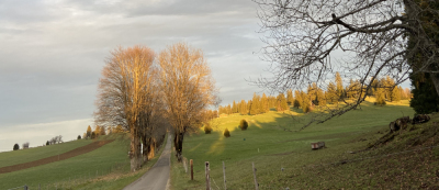 Sceut-Dessus Malmaison Rocher de St-Brais