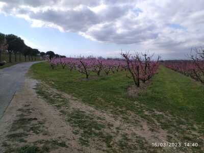 Photo prise liée au parcours