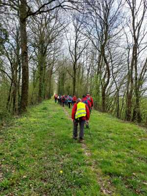Mdc Thouarsais midi classique Réal du 30/03/2023