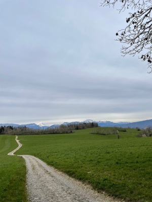 Gravel dans l'Albanais - Annecy - Photo 2