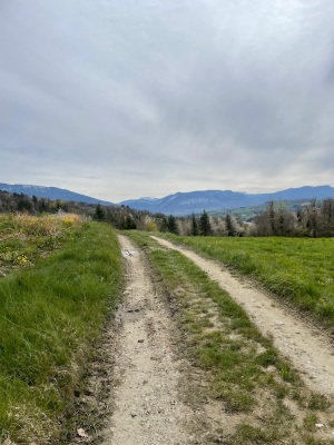 Gravel dans l'Albanais - Annecy - Photo 1
