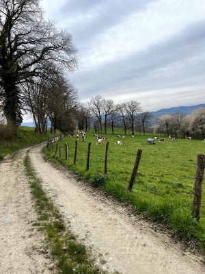 Gravel dans l'Albanais - Annecy - Photo 3