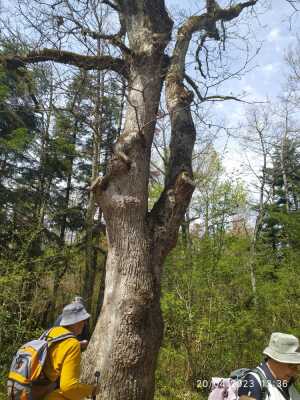Photo prise liée au parcours