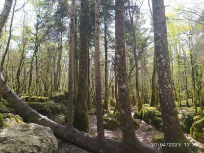 Photo prise liée au parcours