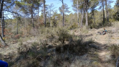 Photo prise liée au parcours